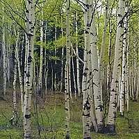 Click for larger view!